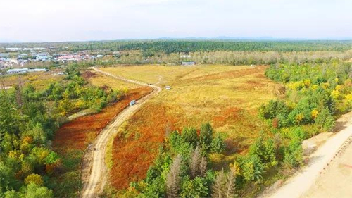 mg不朽情缘(中国)官方网站