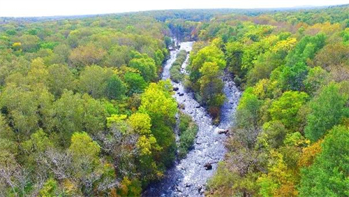 mg不朽情缘(中国)官方网站