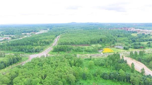 mg不朽情缘(中国)官方网站