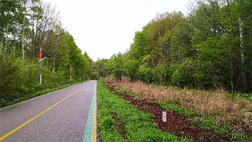 mg不朽情缘(中国)官方网站