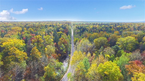 mg不朽情缘(中国)官方网站