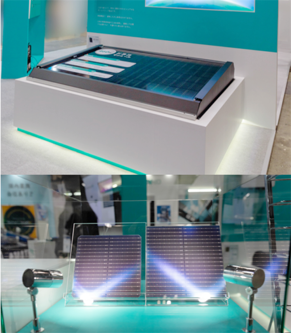 mg不朽情缘(中国)官方网站