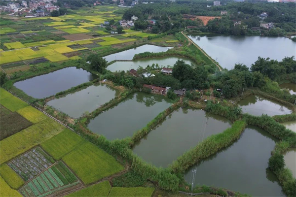 mg不朽情缘(中国)官方网站