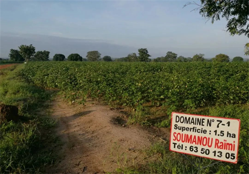 mg不朽情缘(中国)官方网站