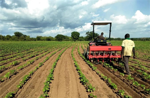 mg不朽情缘(中国)官方网站